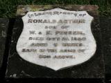 image of grave number 922344